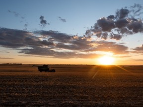Combine at sunset