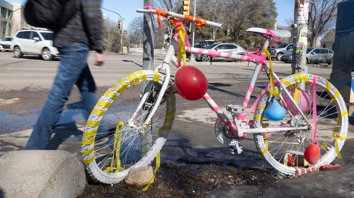 Saskatoon committee hears pleas, reviews report into cyclist death