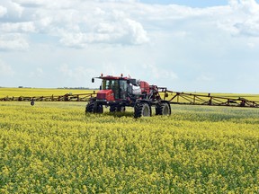 A farmer sprays a canola crop south of Regina. Statistics Canada's latest principal field crops report, which shows lentils seeded acreage at record levels of 5.8 million acres this year. 90 per cent of that (5.3 million acres) in Saskatchewan.