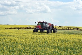 A farmer sprays a canola crop south of Regina. Statistics Canada's latest principal field crops report, which shows lentils seeded acreage at record levels of 5.8 million acres this year. 90 per cent of that (5.3 million acres) in Saskatchewan.