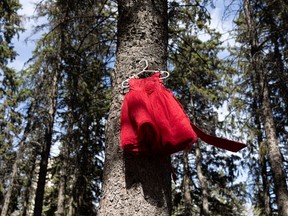 Red Dress Day takes place annually on May 5, the National Day of Awareness for Missing and Murdered Indigenous Women and Girls and Two-Spirit People.