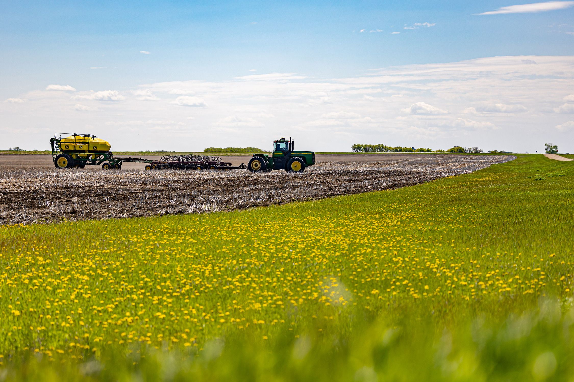 Saskatchewan wheat farmer Chris Sapieha seeds his 2,000 acres of land. He is a fourth generation farmer, working on the same land as his mother, grandfather and great grandfather near Aberdeen, Sask.