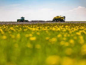 Saskatchewan wheat farmer Chris Sapieha seeds his 2,000 acres of land.