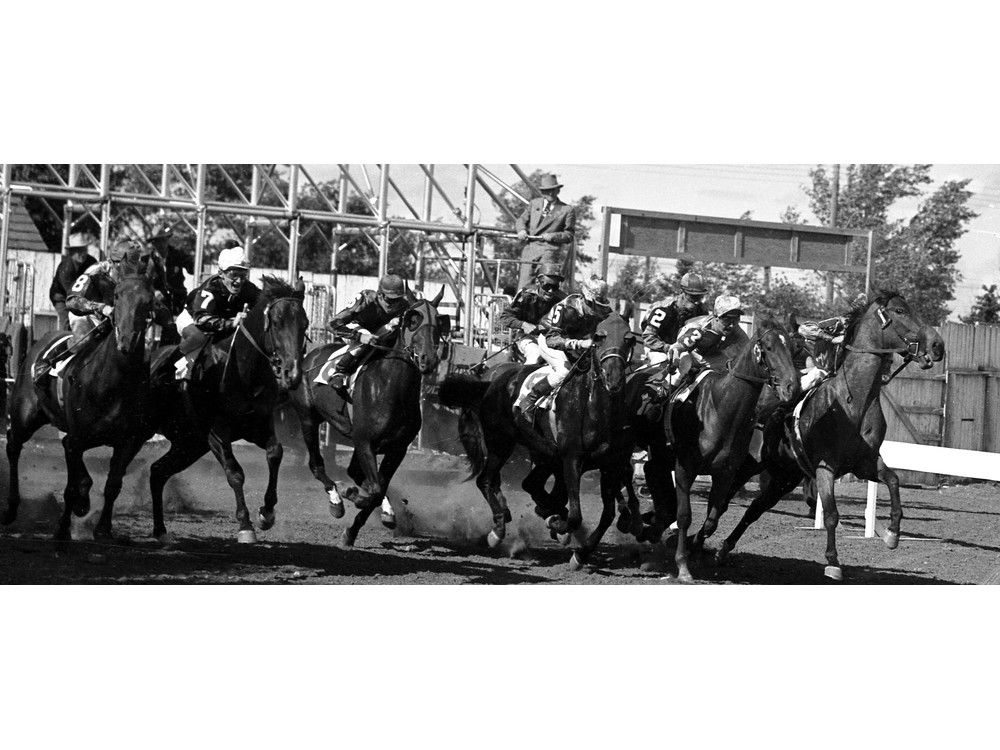 horse racing 1953