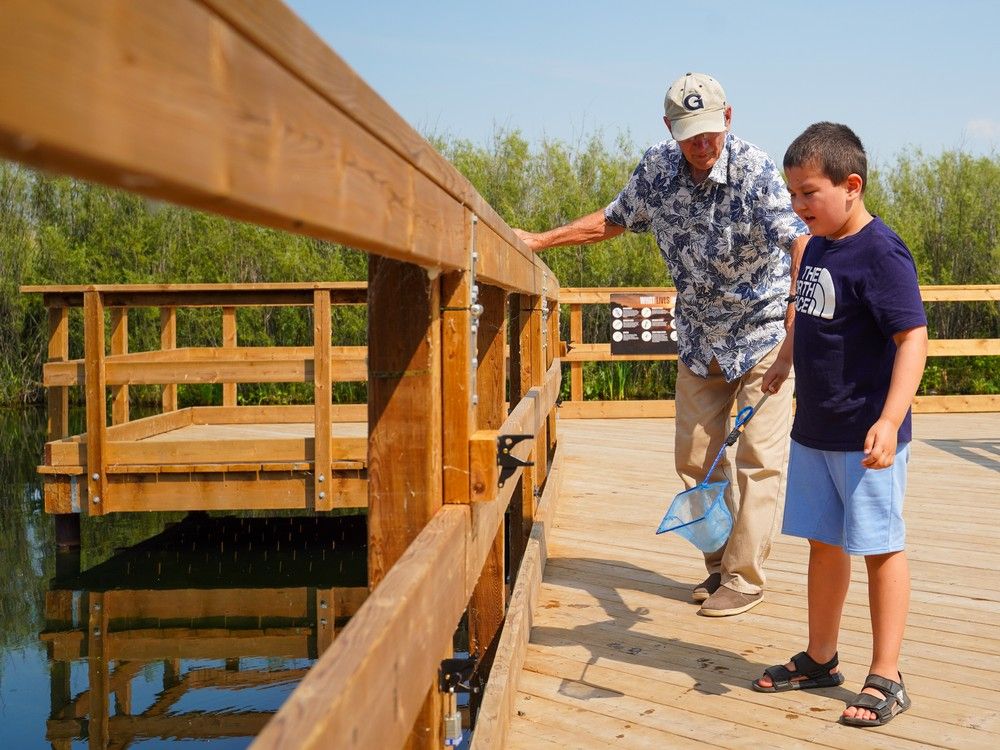 pond dipping