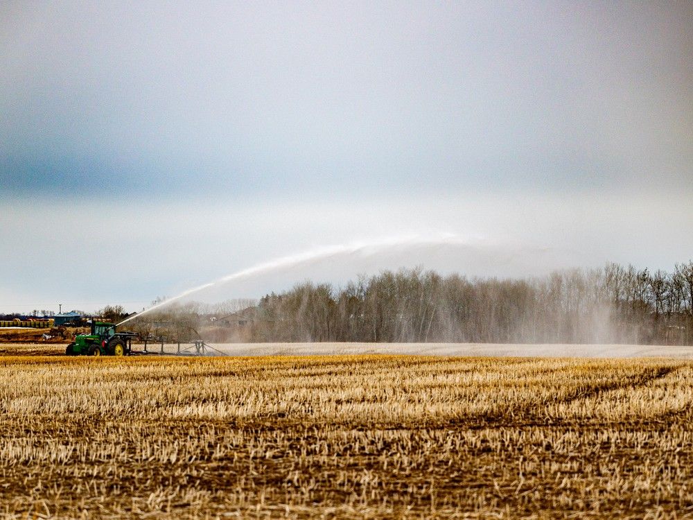 Spring farming in Saskatchewan