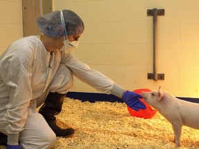 The 2025 U of S Images of Research photo and imaging competition celebrates the beauty and artistry in the work of University of Saskatchewan researchers. The Research In Action winner was The Invisible Bond: Research and Empathy, by Angie Magana, PhD student, Department of Veterinary Pathology, Western College of Veterinary Medicine.