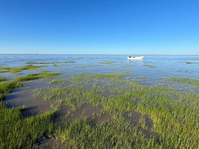 The 2025 U of S Images of Research photo and imaging competition celebrates the beauty and artistry in the work of University of Saskatchewan researchers. The Community Impact winner was Wînipekw on the Rising, by Lindsay Carlson, PhD student, Department of Biology, College of Arts and Science. (Photo courtesy University of Saskatchewan)
