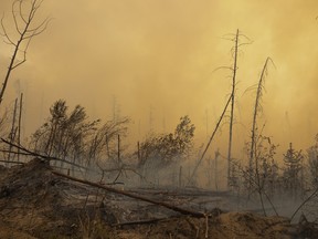 Scorched earth surrounds the hamlet of Weyakwin during the Ditch02 fire on Saturday, May 31, 2025 in Weyakwin. KAYLE NEIS / Regina Leader-Post