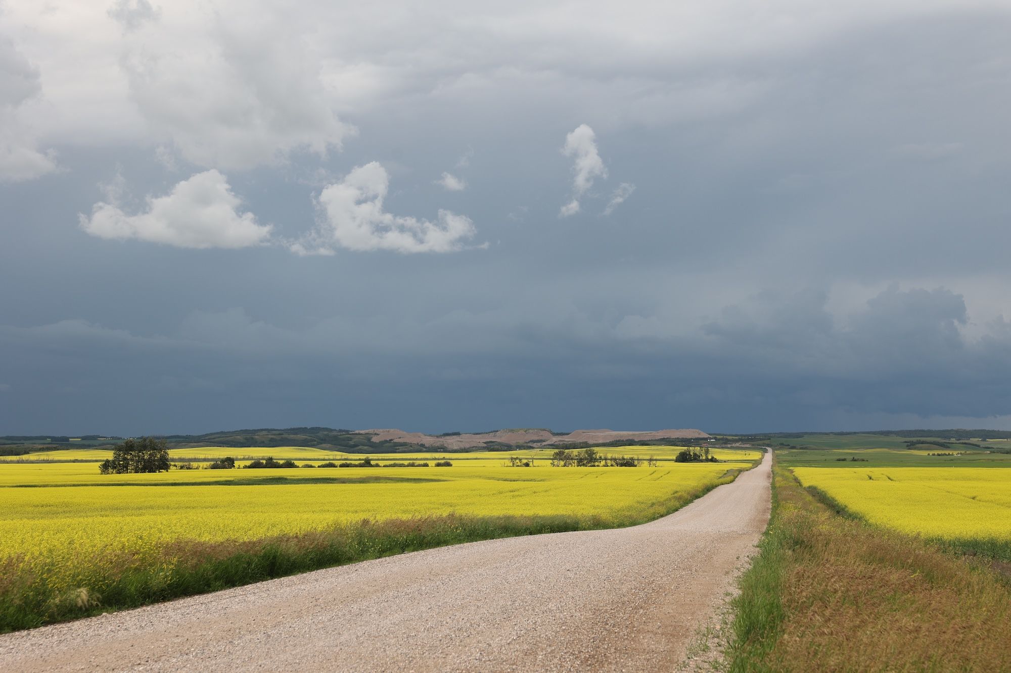 Just 12 days after Prime Minister Mark Carney ironed out a trade deal with China, canola is going to start flowing back into China. Read on.