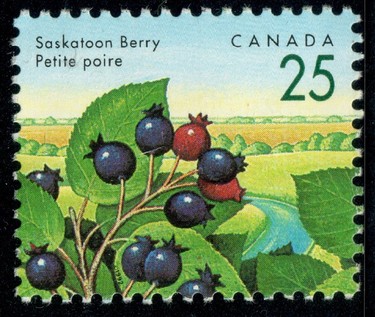 stamp
