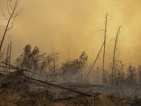 cameroon timber fire