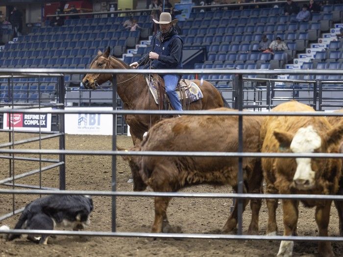 Having concluded on Saturday in Regina, it's expected that this year's Canadian Western Agribition surpassed its previous attendance record.