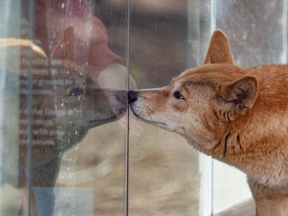 The new role, in addition to a position previously added for 2026, brings the number of full-time zookeepers to 10.