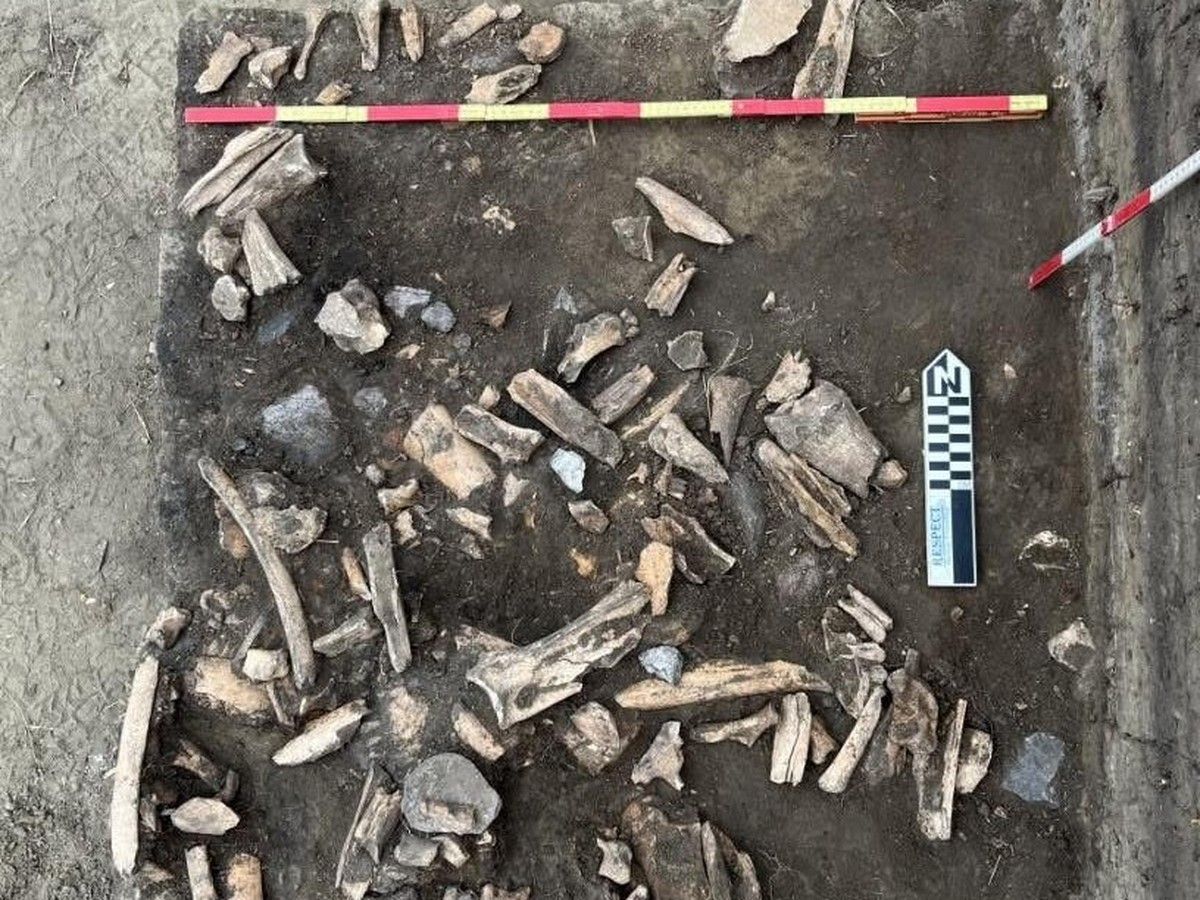 Archaeological findings in Moose Jaw shed light on First Nations' agricultural practices
