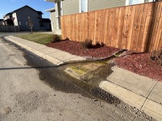 Sump-pump water is spilling across sidewalks, creating mud, algae and winter ice. (Photo courtesy Vanessa Heilman)
