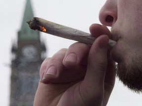 A man lights a marijuana joint as he participates in the 4/20 protest on Parliament Hill in Ottawa, April 20, 2015.