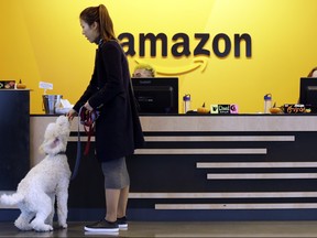 In this, Oct. 11, 2017, photo, an Amazon employee gives her dog a biscuit as the pair head into a company building, where dogs are welcome, in Seattle.    (AP Photo/Elaine Thompson)