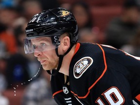 Corey Perry of the Anaheim Ducks.  (SEAN M. HAFFEY/Getty Images files)