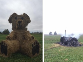 A before and after picture of Blake Jenning's hay bear sculpture that was burned by vandals on October 23, 2017 in Debert, Nova Scotia.