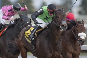 Jockey Gary Boulanger guides Moonlit Promise to victory in the $125,000 dollar Ontario Fashion Stakeson Saturday. (MICHAEL BURNS PHOTO)