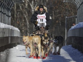 In this March 4, 2017, file photo, four-time and defending champion Dallas Seavey mushes during the ceremonial start of the Iditarod Trail Sled Dog Race in Anchorage, Alaska.