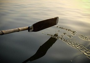 Close up of paddle in sea