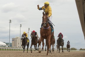 Jockey Eurico Da Silva guides Pink Lloyd to his seventh straight stakes win at Woodbine (MICHAEL BURNS PHOTO)