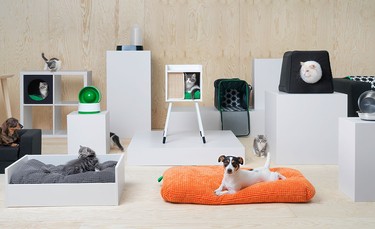Ikea introduces its line for pets.