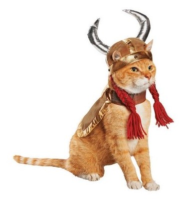 Pet Valu has a lineup of Halloween costumes for pets.