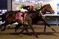 Jockey Rafael Hernandez guides Be Vewy Vewy Quiet to outduel Silent Sting to victory in the Frost King Stakes at Woodbine on Saturday. (MICHAEL BURNS PHOTO)