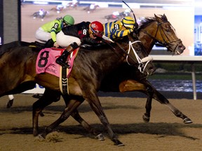 Jockey Rafael Hernandez guides Be Vewy Vewy Quiet to outduel Silent Sting to victory in the Frost King Stakes at Woodbine on Saturday. (MICHAEL BURNS PHOTO)