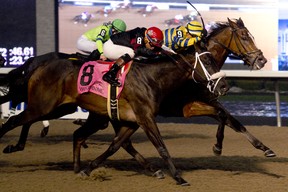 Jockey Rafael Hernandez guides Be Vewy Vewy Quiet to outduel Silent Sting to victory in the Frost King Stakes at Woodbine on Saturday. (MICHAEL BURNS PHOTO)