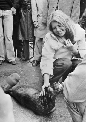 An April 8, 1976 file photo shows French former actress Brigitte Bardot stroking a baby seal in fecamp, northern France. The seal was saved by sailors from  hunting and left in Brigitte Bardot who fights against seal-hunting.