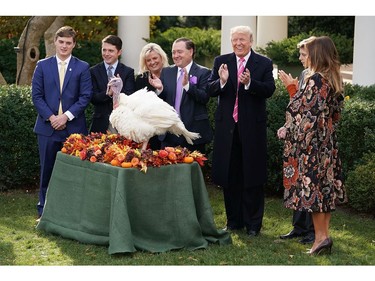 U.S. President Donald Trump, first lady Melania Trump and their son Barron applaud after pardoning the National Thanksgiving Turkey with National Turkey Federation Chairman Carl Wittenburg and his family in the Rose Garden at the White House Nov. 21, 2017 in Washington, D.C.  (Chip Somodevilla/Getty Images)