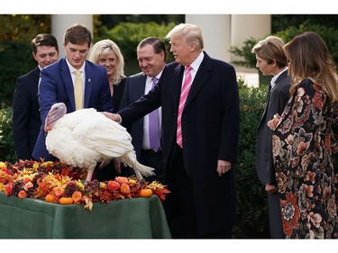 U.S. President Donald Trump (C), first lady Melania Trump and their son Barron participate in a ceremony to pardon the National Thanksgiving Turkey with National Turkey Federation Chairman Carl Wittenburg and his family in the Rose Garden at the White House Nov. 21, 2017 in Washington, D.C.  (Chip Somodevilla/Getty Images)