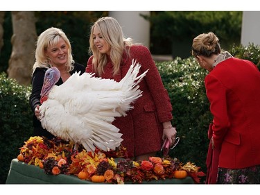 Tiffany Trump, daughter of U.S. President Donald Trump and Sharlene Wittenburg (L) look at Drumstick, the National Thanksgiving Turkey following his pardoning ceremony in the Rose Garden at the White House Nov. 21, 2017 in Washington, D.C.  (Chip Somodevilla/Getty Images)