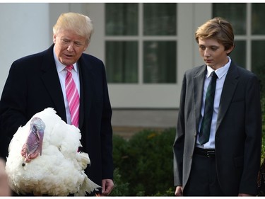 U.S. President Donald Trump pardons the turkey, Drumstick, as his son Barron (R) looks on during the turkey pardoning ceremony at the White House 
in Washington, D.C., on Nov. 21, 2017. (ANDREW CABALLERO-REYNOLDS/AFP/Getty Images)