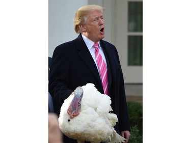 U.S. President Donald Trump speaks as he pardons the turkey, Drumstick, during the turkey  pardoning ceremony at the White House in Washington, D.C., on Nov. 21, 2017. (ANDREW CABALLERO-REYNOLDS/AFP/Getty Images)