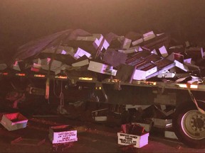 This Thursday, Nov. 2, 2017 photo provided by the Auburn Police Department shows the wreckage of a truck carrying beehives after a crash on Interstate 80 in Auburn, Calif., north of Sacramento. (Sgt. Tucker Huey/Auburn Police Department via AP)