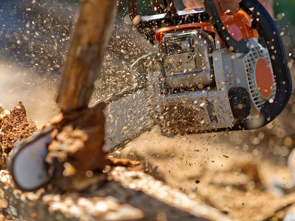 Man dies from burns after chainsaw explodes Toronto Sun