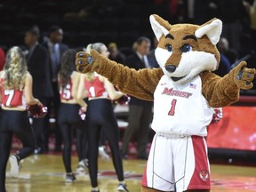 In this Saturday, Nov. 11, 2017 photo, Frankie, the Marist College mascot formerly known as Shooter, gestures on the court during the college's men's and women's basketball team's home opener in Poughkeepsie, N.Y.