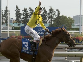 Woodbine-based Ontario-bred Dixie Moon will run in the $1 million Juvenile Fillies Turf race in the Breeders’ Cup. (MICHAEL BURNS PHOTO)