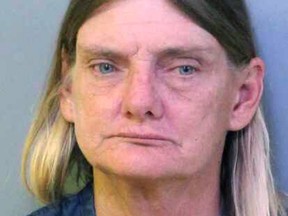 This undated booking photo made available by the Polk County Sheriff's Office shows Donna Byrne, of Lakeland, Fla. Law enforcement officials charged Bryne with driving under the influence while riding a horse down a busy Florida highway on Thursday, Nov. 2, 2017. (Polk County Sheriff's Office via AP)