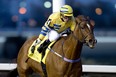 Eurico Da Silva guided Pink Lloyd to his eighth-straight stake win at Woodbine. (Michael Burns photo)