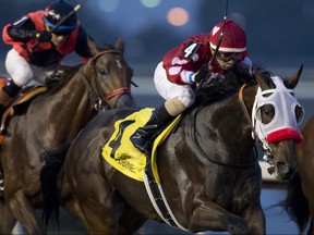 Woodbine Racetrack can expand its gambling and entertainment options after a vote by Toronto city council.