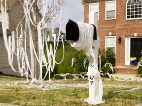 In this stock photo, a toilet-papered house is seen the morning after.