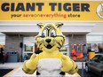 Giant Tiger Stores Limited-Here We Grow Again- Giant Tiger Annou