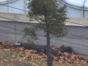 This screengrab made from video footage released by the United Nations Command on November 22, 2017 shows a North Korea defector (L) being pulled to safety by two South Korean soldiers who crawled to reach him just south of the military demarcation line in the Demilitarized Zone (DMZ). (AFP PHOTO/UNITED NATIONS COMMAND/Handout)