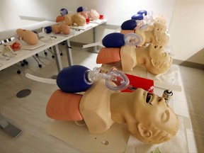 In this Friday, Aug. 4, 2017 file photo, mannequins are arranged to train CPR to incoming medical students in Jackson, Miss. A study released on Sunday, Nov. 12, 2017 shows women are less likely than men to get CPR from a bystander and more likely to die, and researchers think that reluctance to touch a woman's chest may be one reason. (AP Photo/Rogelio V. Solis)